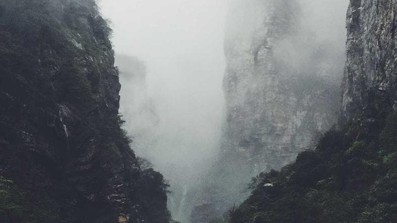 公證遺囑 vs 自書遺囑：哪種更適合您的家庭情況？