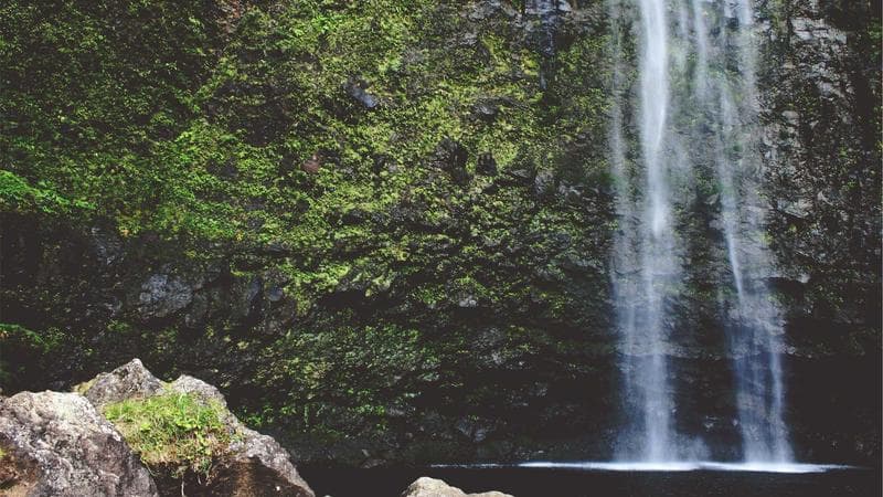 贈與稅 vs 遺產稅：哪種策略對家庭更有利？